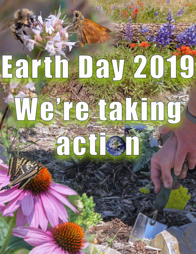 This Earth Day take action. No abstract thoughts or feelings that paralyze you with dread or sadness. It is up to us to bend the arc of diminishing wildlife. Start with planting flowers!