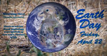 Composite image of Earth with Mourning Dove overlay. Doves were ancient Greek symbol for renewal of life