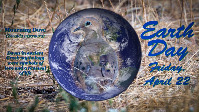 Composite image of Earth with Mourning Dove overlay. Doves were ancient Greek symbol for renewal of life