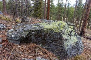 This is an image of a large (7' by 7') sized boulder, perfect substrate for Rock Tripe lichen. Note the open nature of the forest.